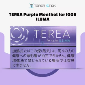 terea Purple Menthol in UAE