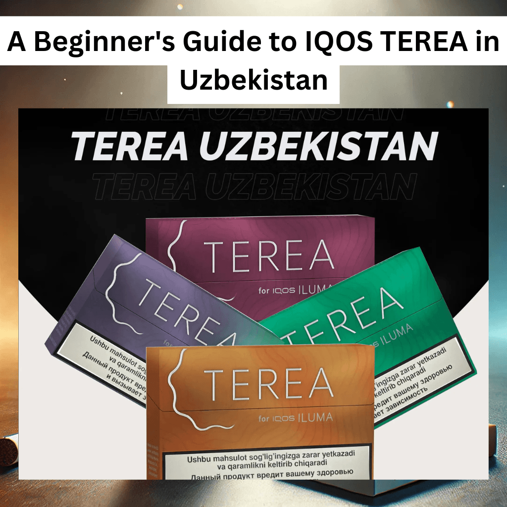 A Beginner's Guide to IQOS TEREA in Uzbekistan Everything You Need to Know