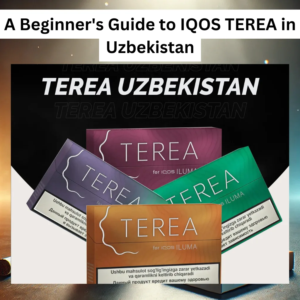 A Beginner's Guide to IQOS TEREA in Uzbekistan Everything You Need to Know