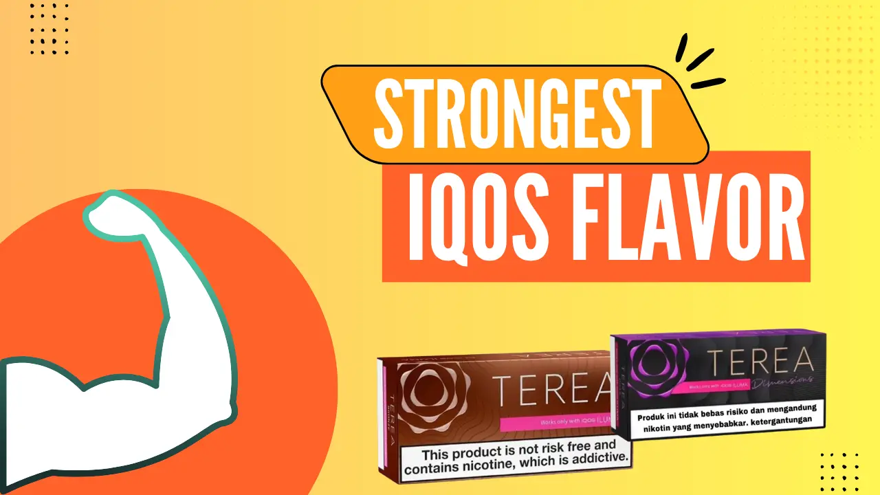 Which IQOS Flavor Is Strongest? Best Picks For Heavy Smokers in the UAE