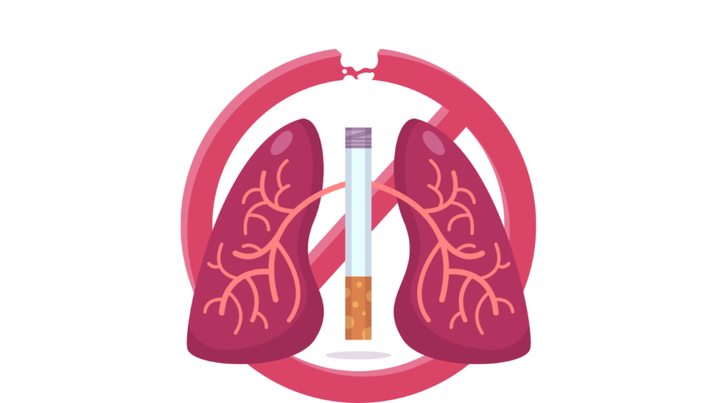 How Strong Is IQOS TEREA? Nicotine Levels Explained 3 A Word on Health and Safety