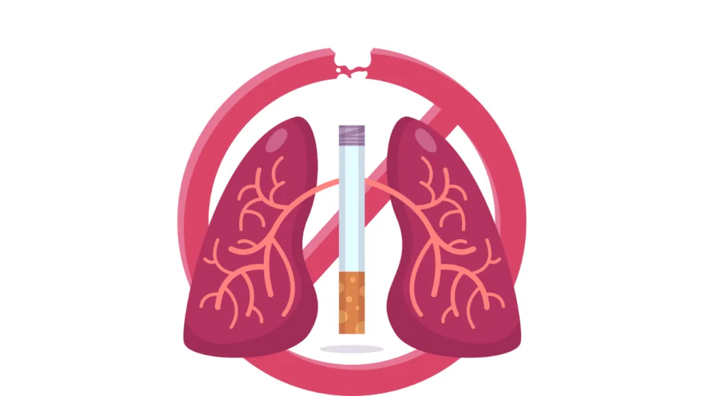 How Strong Is IQOS TEREA? Nicotine Levels Explained 3 A Word on Health and Safety