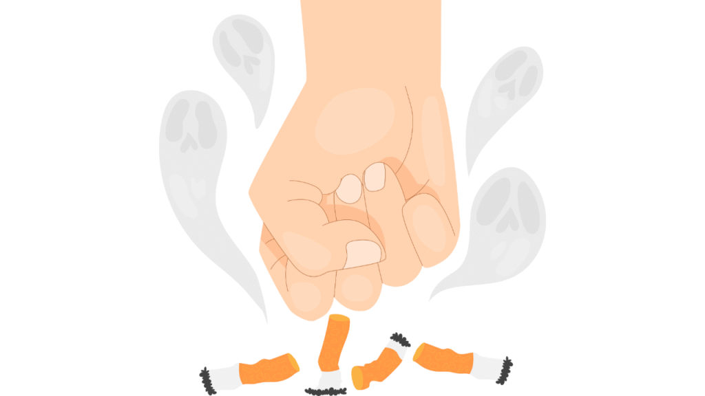 How Strong Is IQOS TEREA? Nicotine Levels Explained 4 5