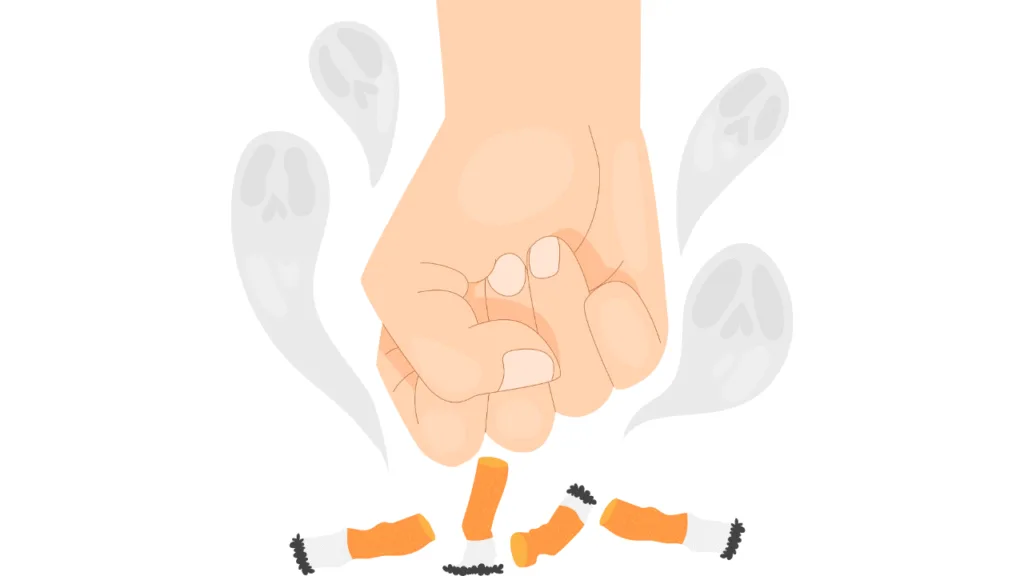How Strong Is IQOS TEREA? Nicotine Levels Explained 4 5