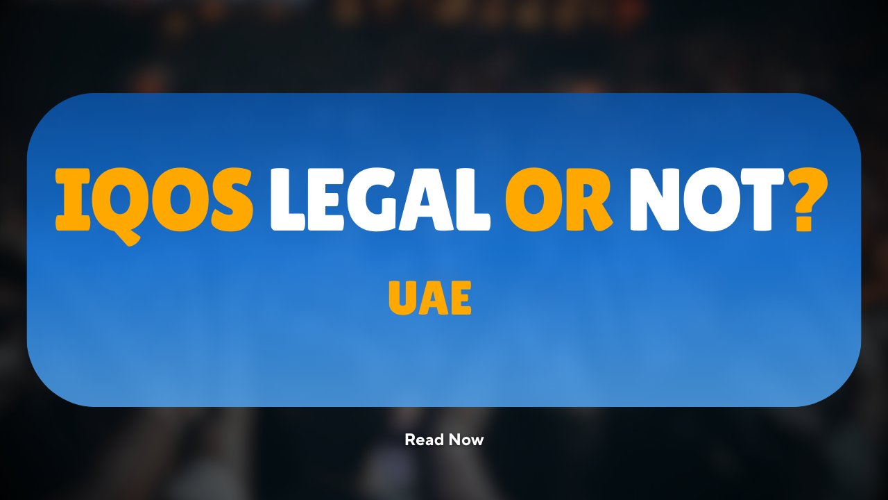 IQOS in the UAE: Legal Status, Rules, and Where to Buy