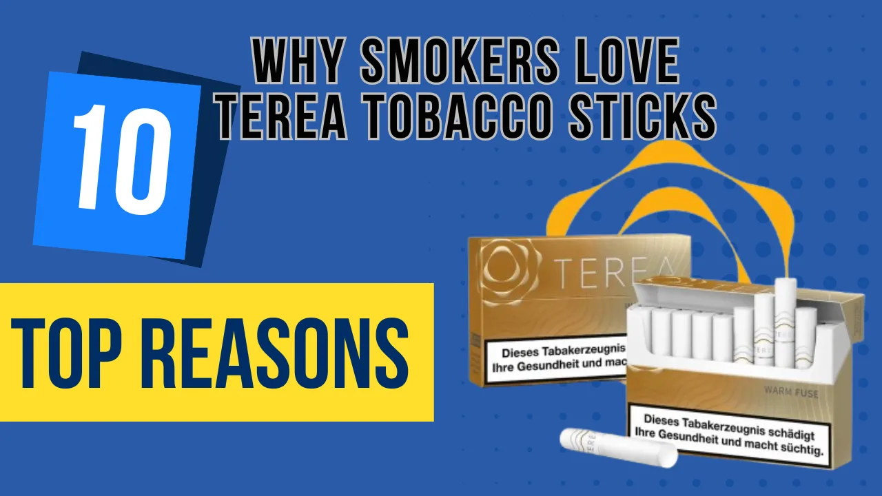Home 26 Top 10 Reasons Smokers Love TEREA Tobacco Sticks in Dubai : Explore Now