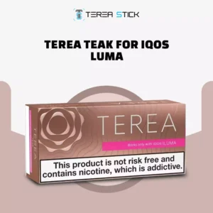  IQOS TEREA Teak now in dubai online