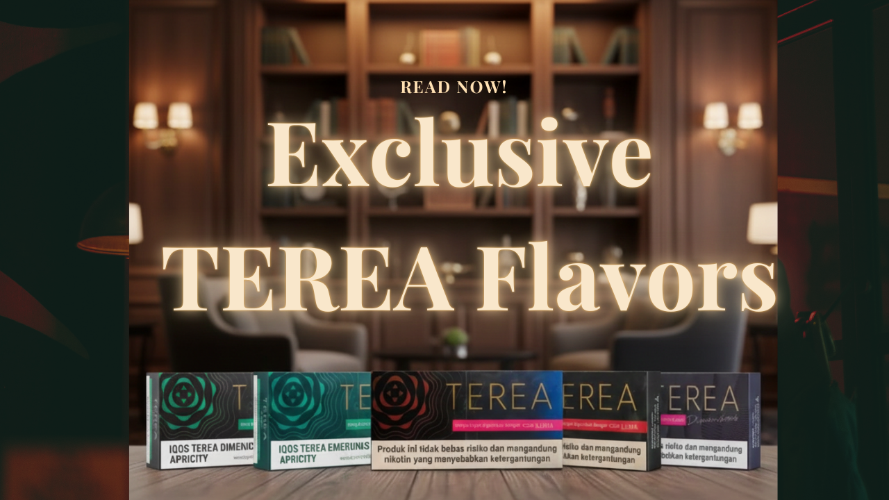Top Premium TEREA Indonesian Flavors to Try for Your ILUMA