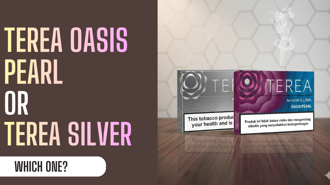 Explore TEREA Silver and Oasis Pearl Flavors for IQOS ILUMA in UAE