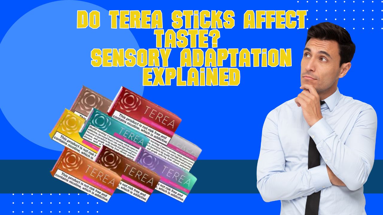 Do TEREA Sticks Reduce Taste? Full Sensory Guide