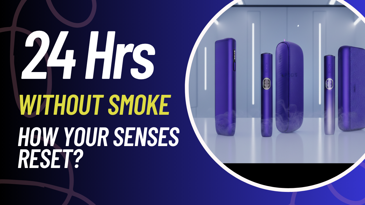 The 24-Hour Transformation: What Happens to Your Senses When You Stop Burning Tobacco?