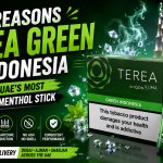 7 Reasons TEREA Green Indonesia Is the UAE's Most Balanced Menthol Stick