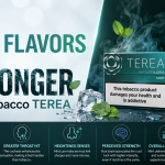 Why Menthol TEREA Feels Stronger Than Tobacco Variants