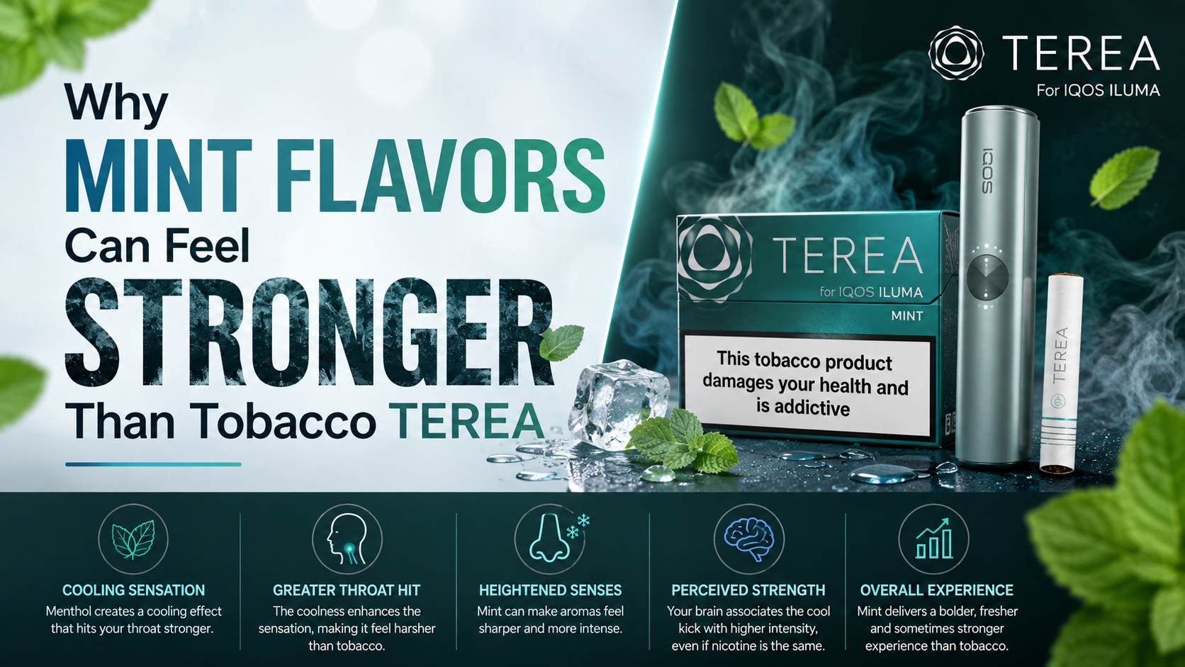 Why Menthol TEREA Feels Stronger Than Tobacco Variants