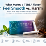 Home 55 Smooth vs Harsh TEREA Flavors: What You Need to Know