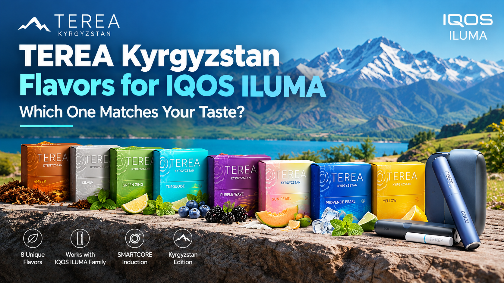 TEREA Kyrgyzstan Flavors for IQOS ILUMA Which One Matches Your Taste