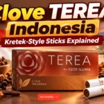 What Is Clove TEREA from Indonesia UAE Guide